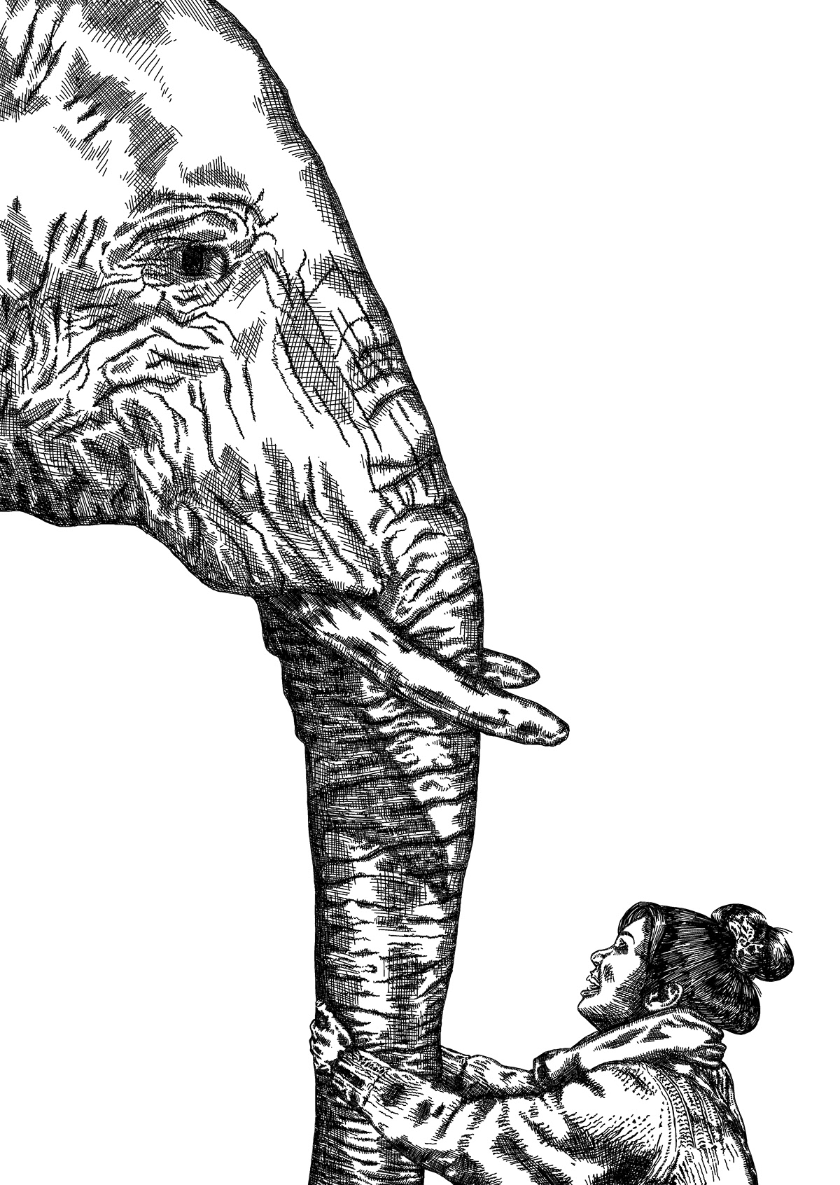 elephant sketch portrait