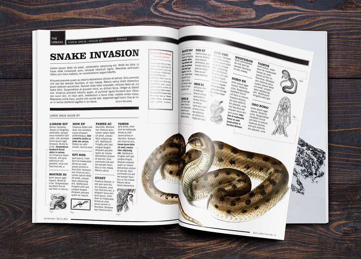 text layout snake magazine