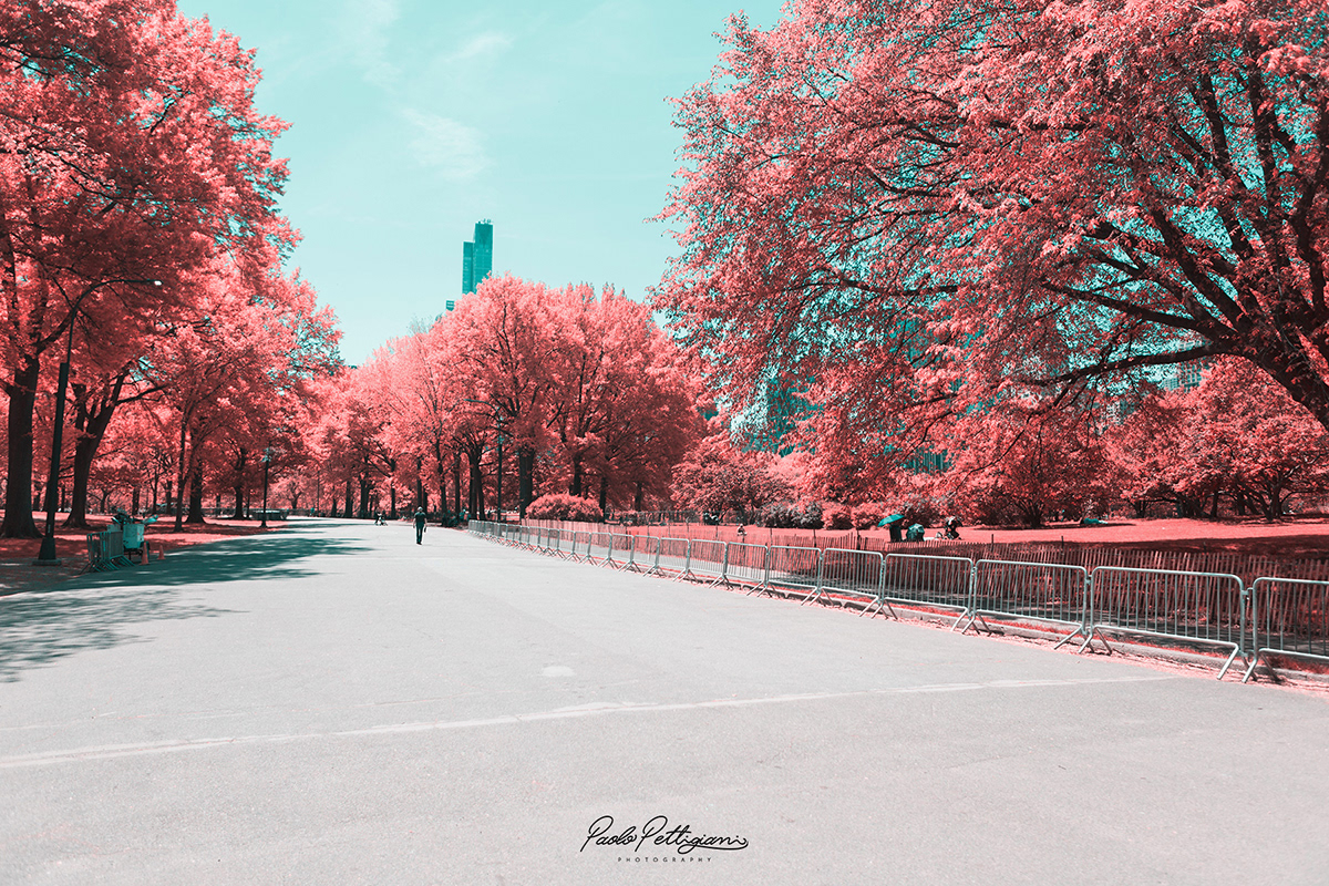 New York infrared digital photo photoshop Nature water red color light city Landscape Urban design Manhattan