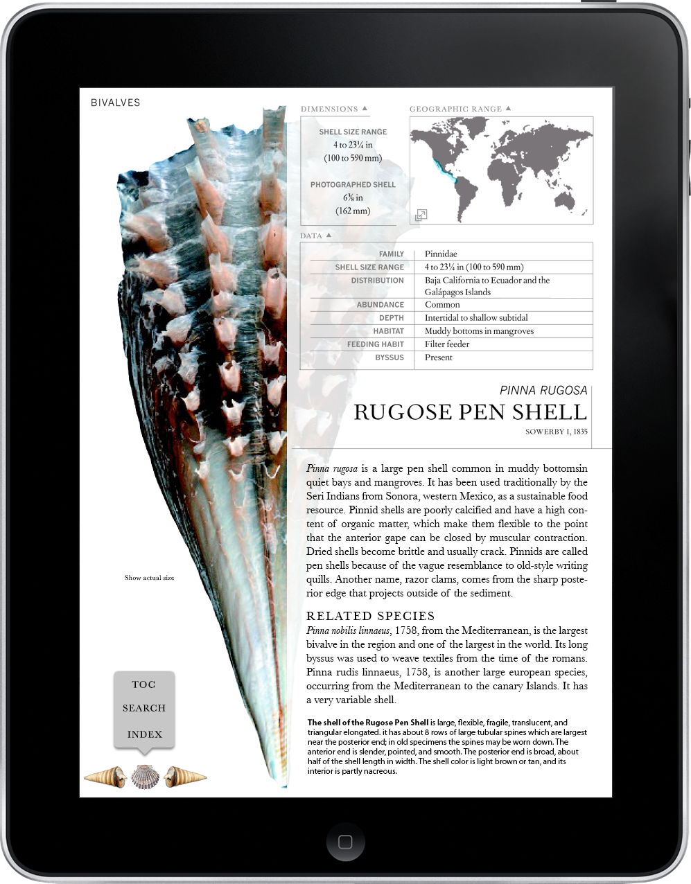 ios iPad Interface publishing   data visualization app mobile