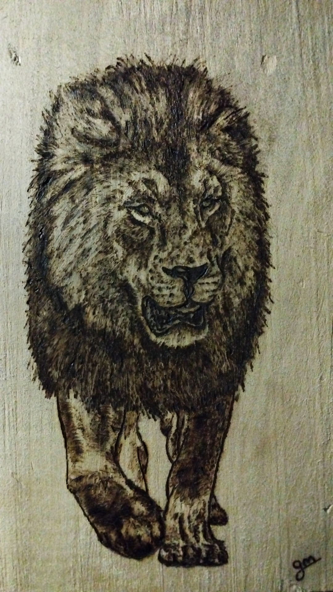 artist artwork Drawing  Leon lion pirografia pyrography wood woodburning