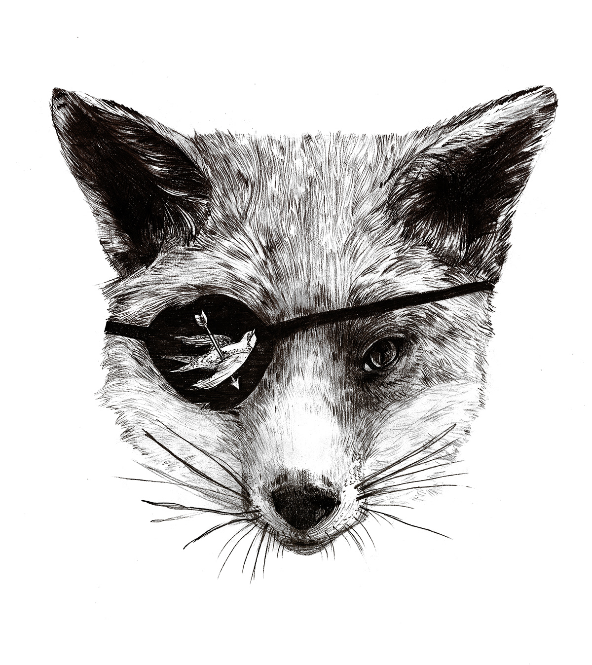 draw black White FOX Foxy huntsman Black Sails Nature Realism