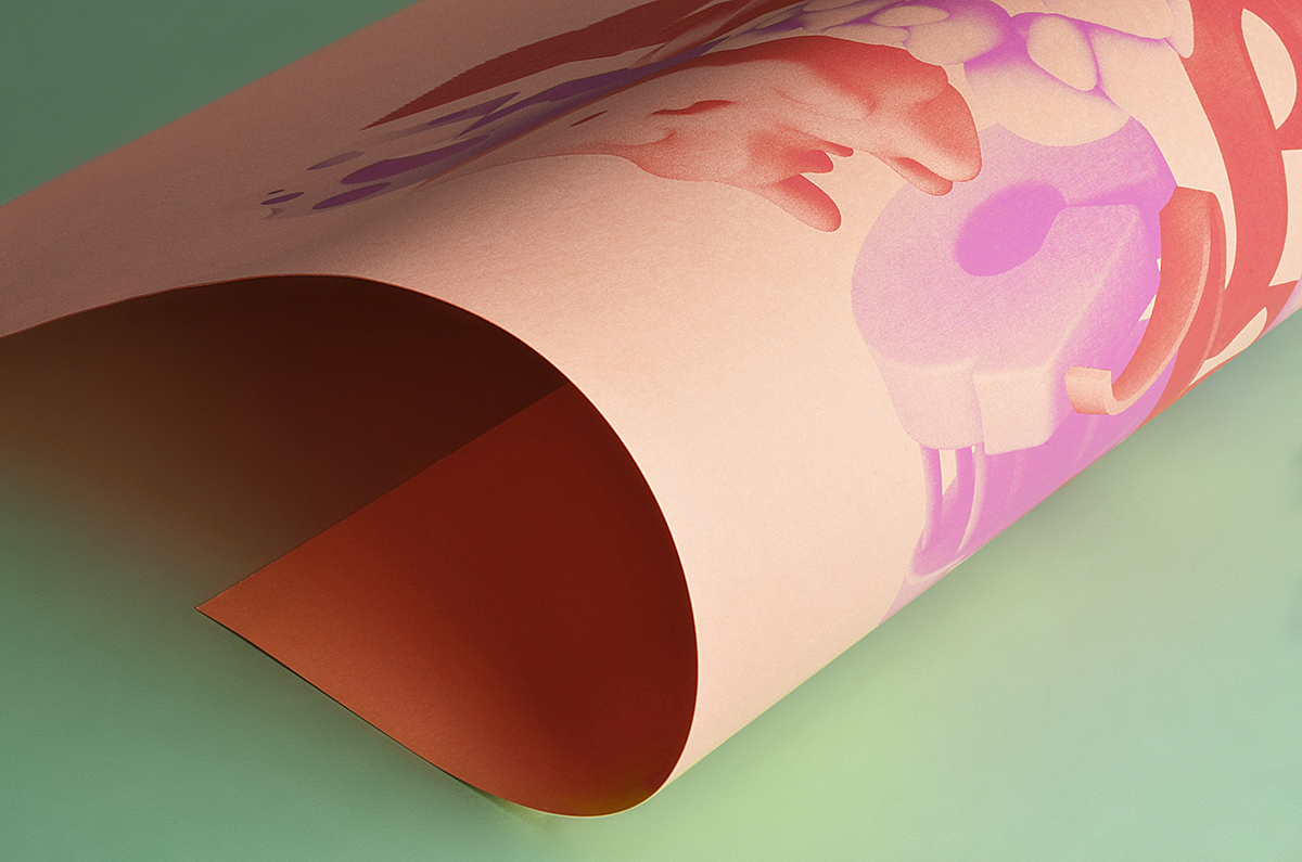 identity Photography closeup paper poster posters color