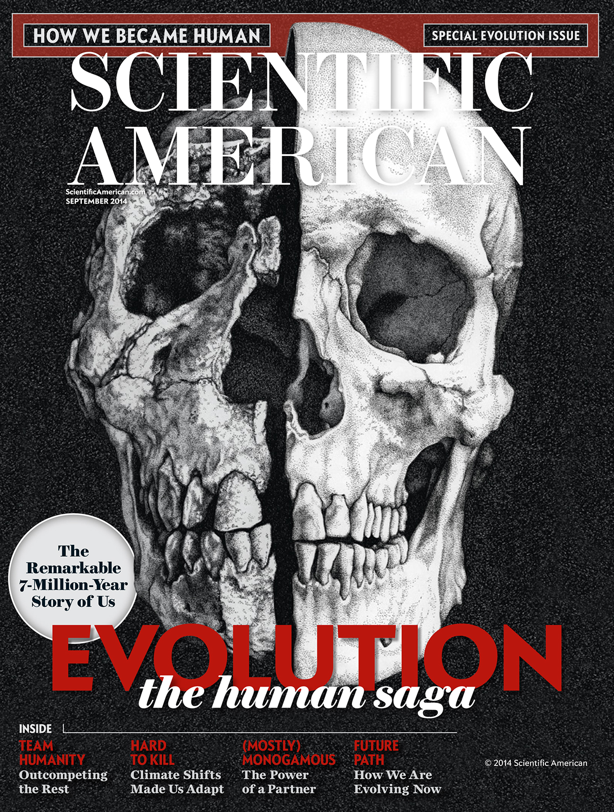 Scientific American magazine editorial scientific illustration skull evolution fossils pen and ink Cover Art