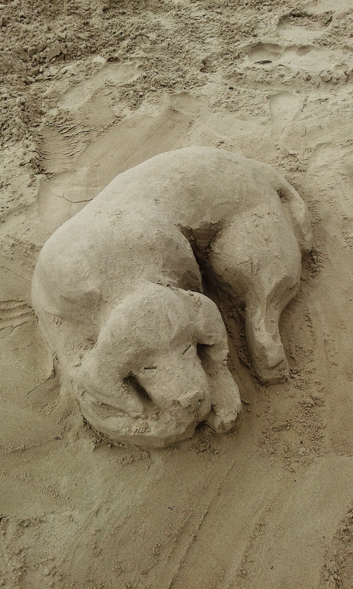 sculpture sand sand sculpture dog play