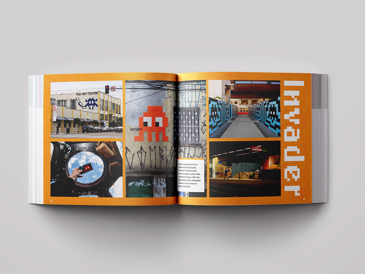 Street Art  design graphic design  book design Layout Design
