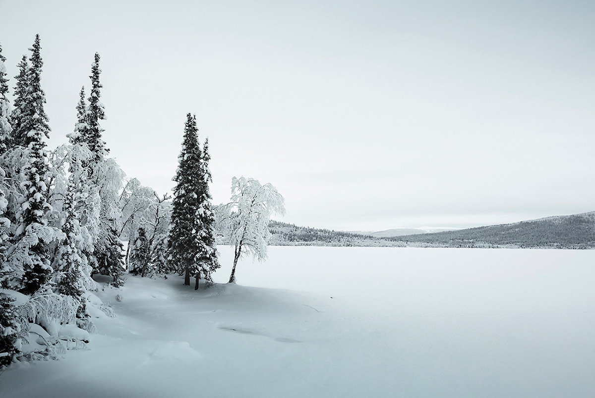 silence frozen winter cold snow ice Lapland Sweden Landscape Nature