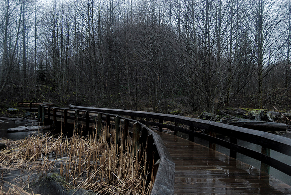 Landscape rural Mount Saint Helens Washington State lake water cold rainy