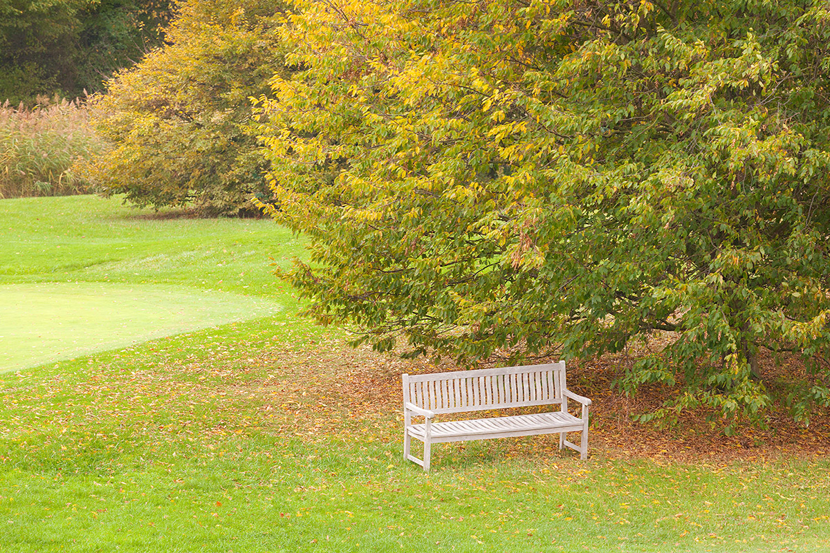Adobe Portfolio Photography  naturephotography landscapephotography autumn golf
