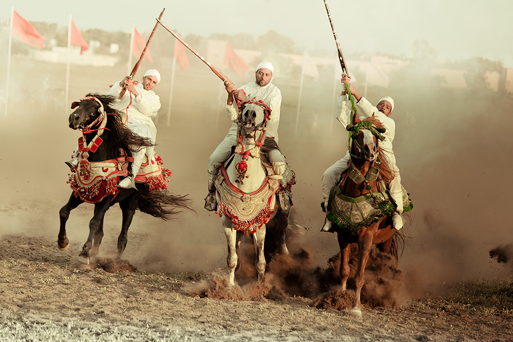 sorec Morocco Casablanca bouznika meknes turf race track fantasia horse cheval pure blood pur sang Arab arabe Maroc