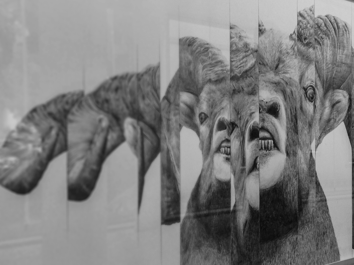 wildlife contemporary istanbul pencil paper ram trigonal broken mesh distortion deformation