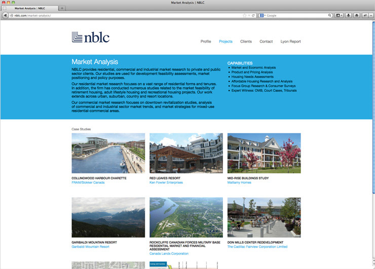 Real Estate Consultant cms website