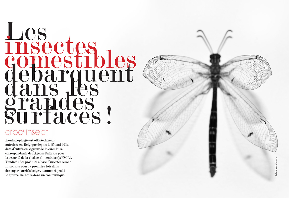 mise en page magazine insecte Jason Wu platane