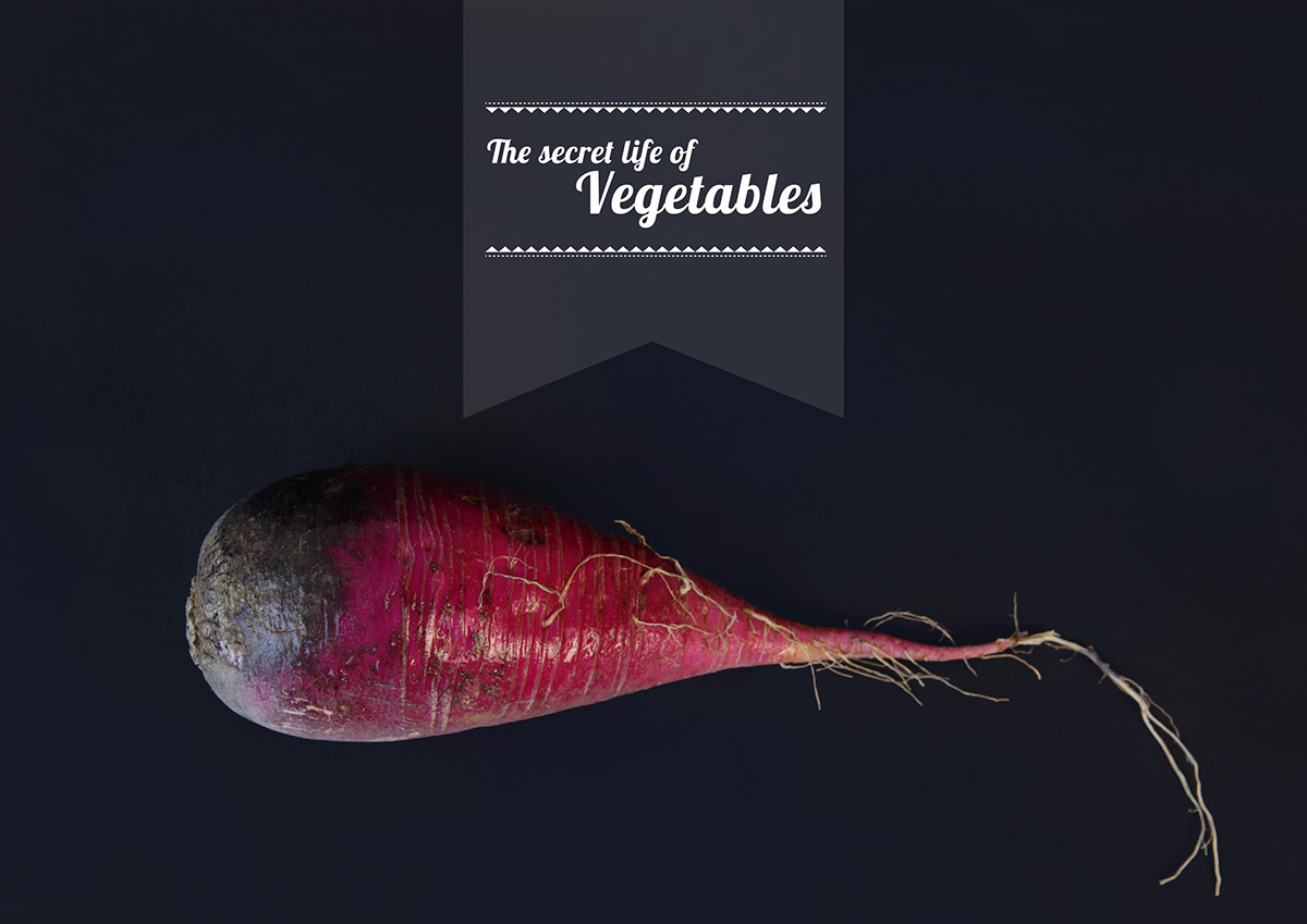 vegetables soazig desfossez Food  food design Culinary photo
