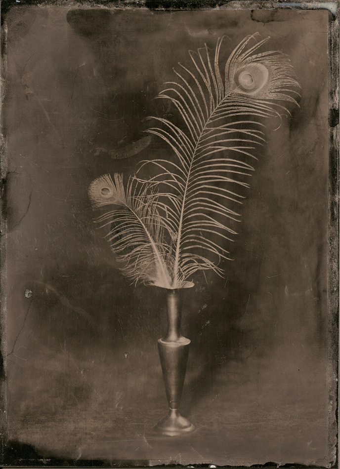 wet plate collodion Ambrotype