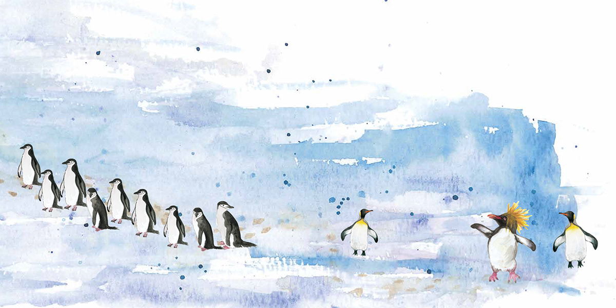 animal art book animal book illustration book character book illustration feathered friends penguin art watercolor artist watercolour illustration watercolour penguin