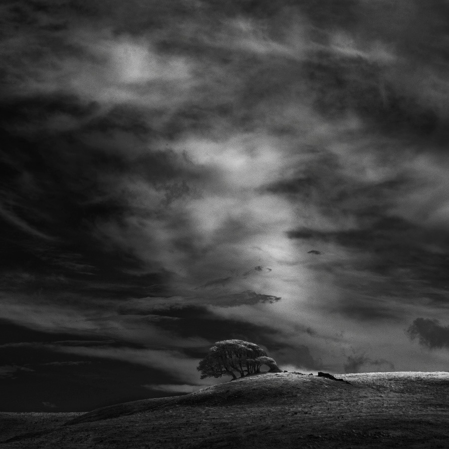 infrared nlwirth Nathan Wirth Landscape trees hills Marin County Sonoma County light