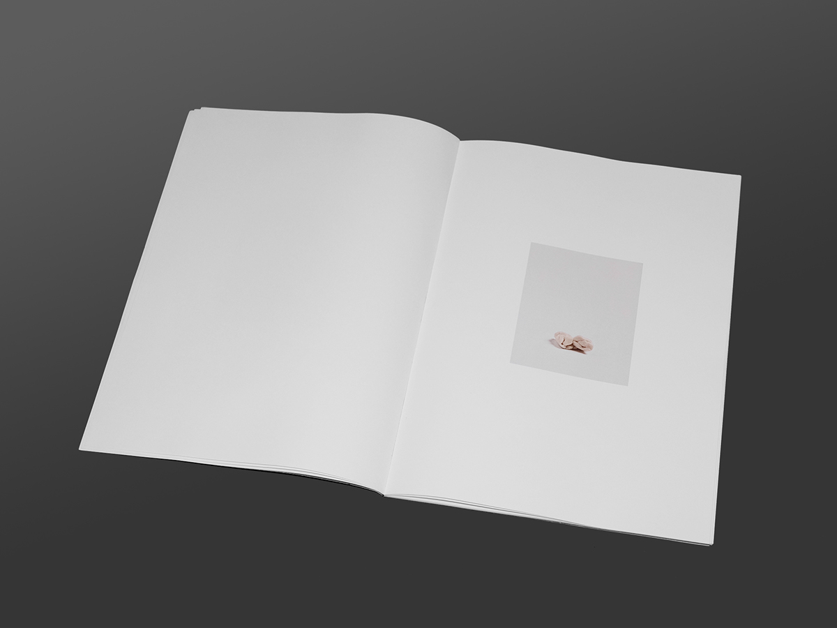 Orbit Kaugummi still live photo minimal chewing gum editorial book photobook design Layout poster