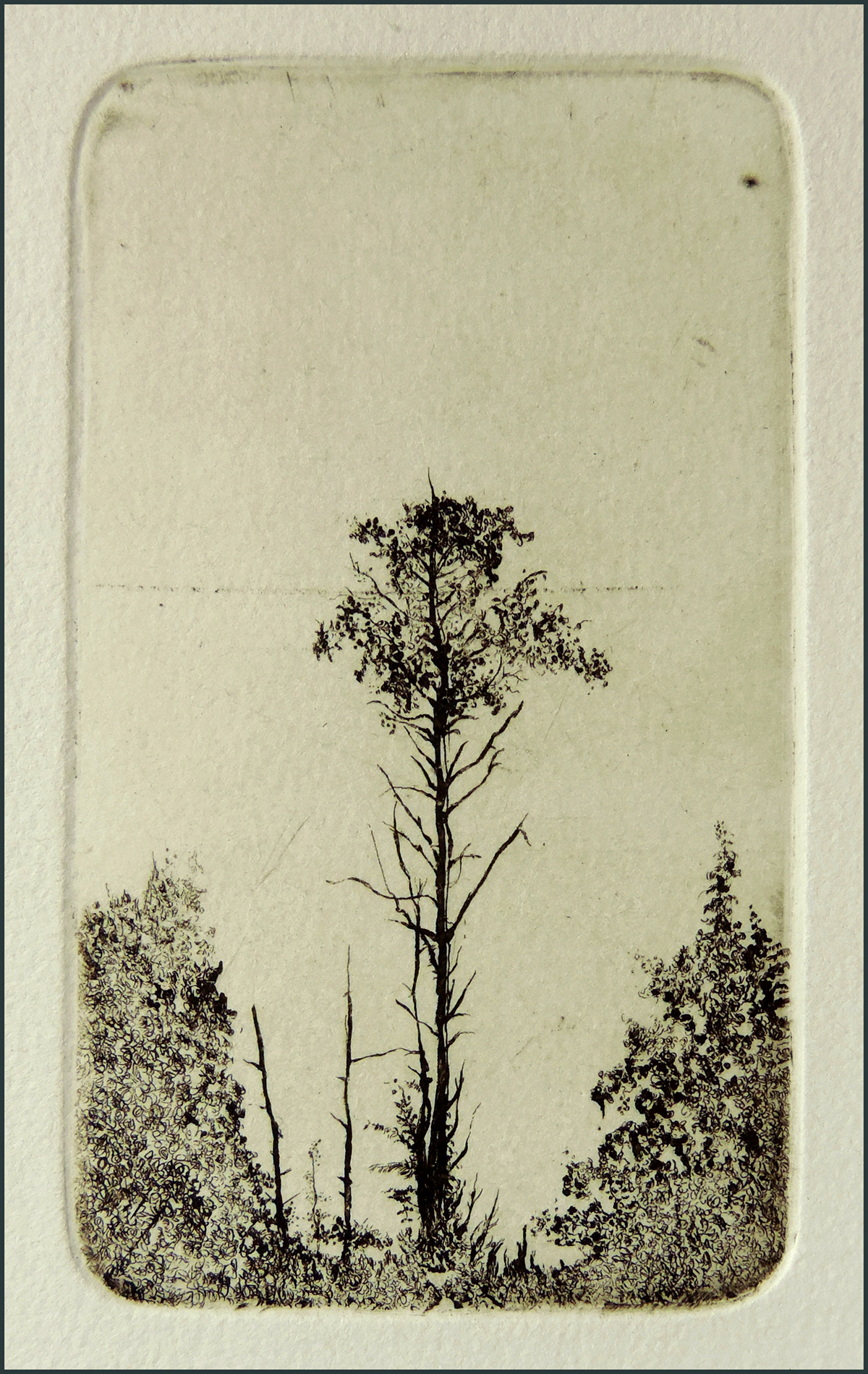 printmaking etching grabado landscapes Aguafuerte