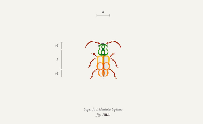 typographic entomology studiofm letters Insects studio fm milano cristiano bottino