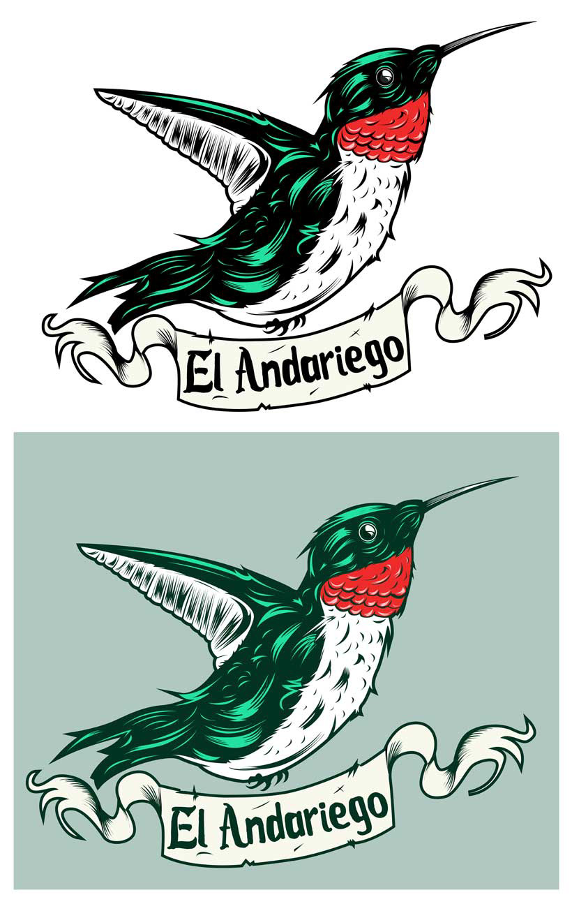 hummingbird illustration andariego colibri tattoo