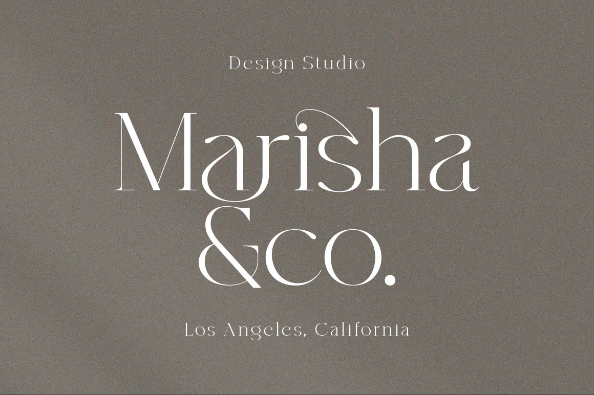 Advertising  brand identity branding  design Display Logo Design modern Packaging Serif Font typography  