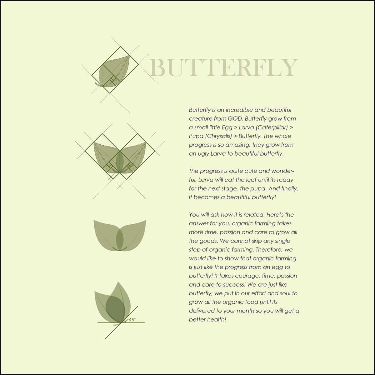 organic logo hexagon butterfly salad