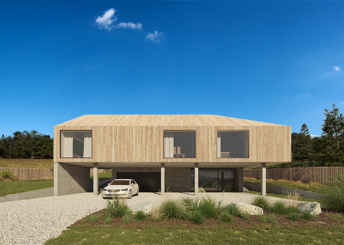 architecture design exterior facade house Interior visualization wood