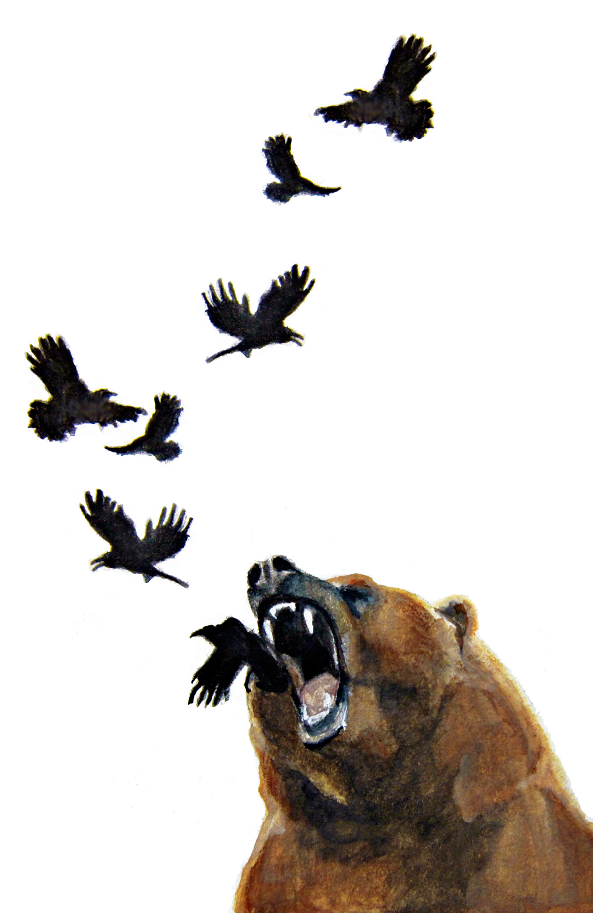 bear animal crow prismacolor blackbird scream