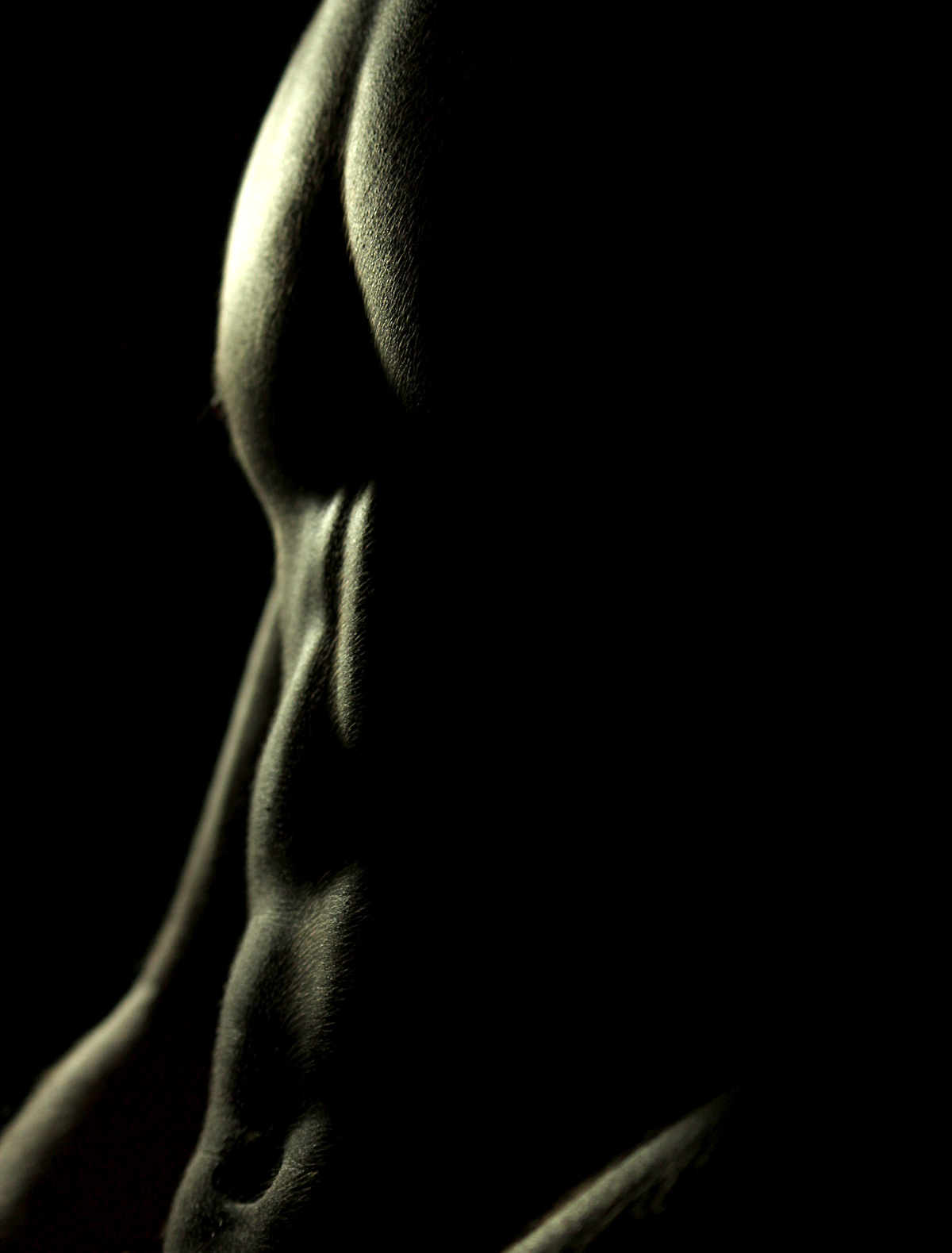 body bodies black and white Bodyshoot cuerpos adan bonilla adan dali fisico culturismo ficulturismo Body Building