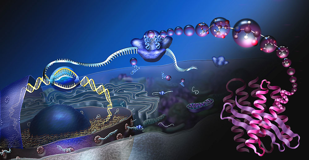 science technical illustration graphics cellular DNA biology molecular Pharmaceutical medical Health genetics flu virus biochemistry
