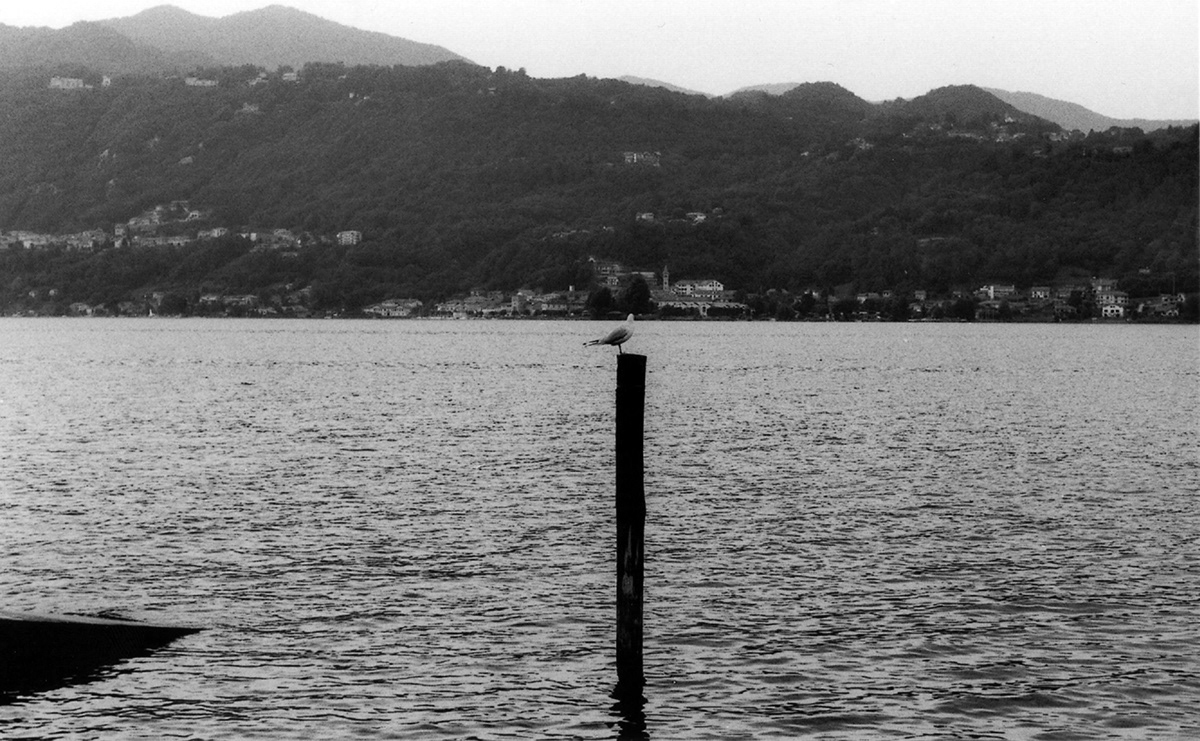 kodak tmax 400asa Kodak TMax 400 minolta minolta xg 2 Pellicola bianco e nero black and white Lago lake primo rullino agosto 2009