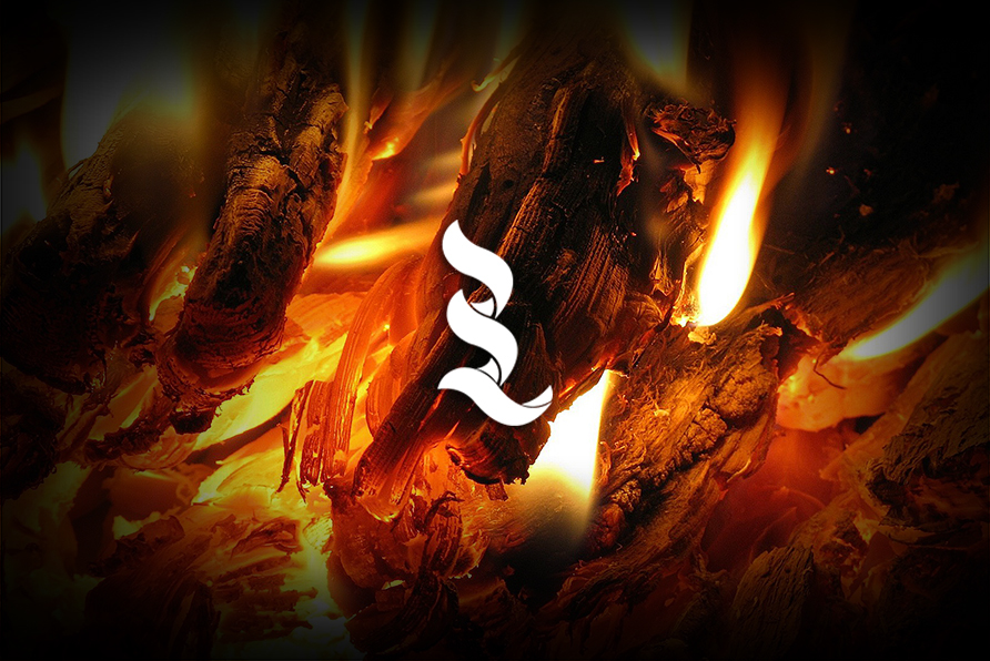 brand identity fire flame spring pattern logo Logotype monogram Stationery orange red #B #r fuego