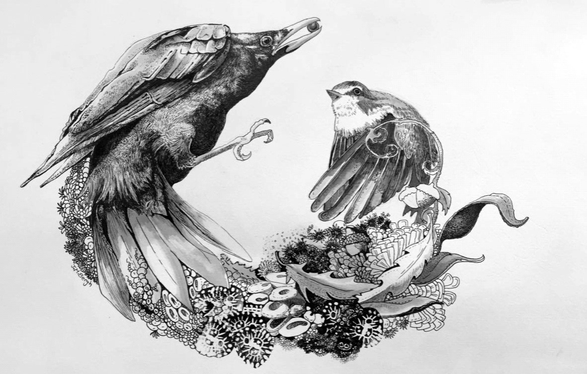 Drawing  pen and ink rat nest animals pen ink