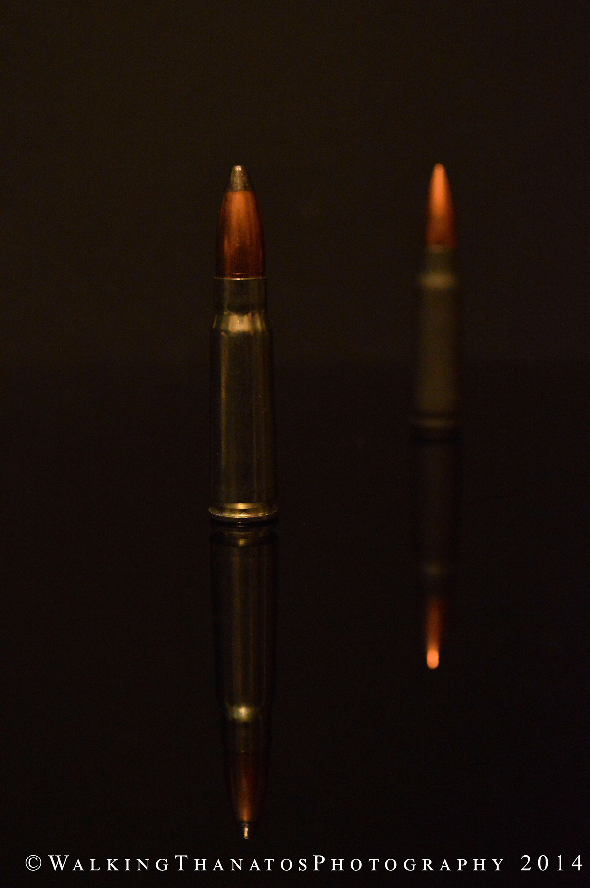 Bullets Ammo Firearms cartridge case/shell projectile lead hollow point gun powder