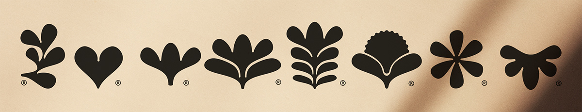 logo Packaging skincare Logo Design brand identity graphic design  visual identity Graphic Designer branding  typography  