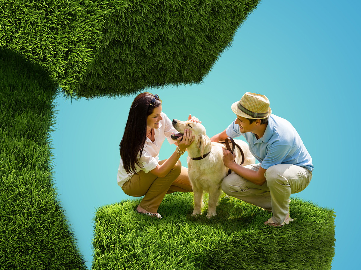 photo photomanipulation retouch psd foto manipulación Guatemala zoom letter lettering grass wood Street dog people Love