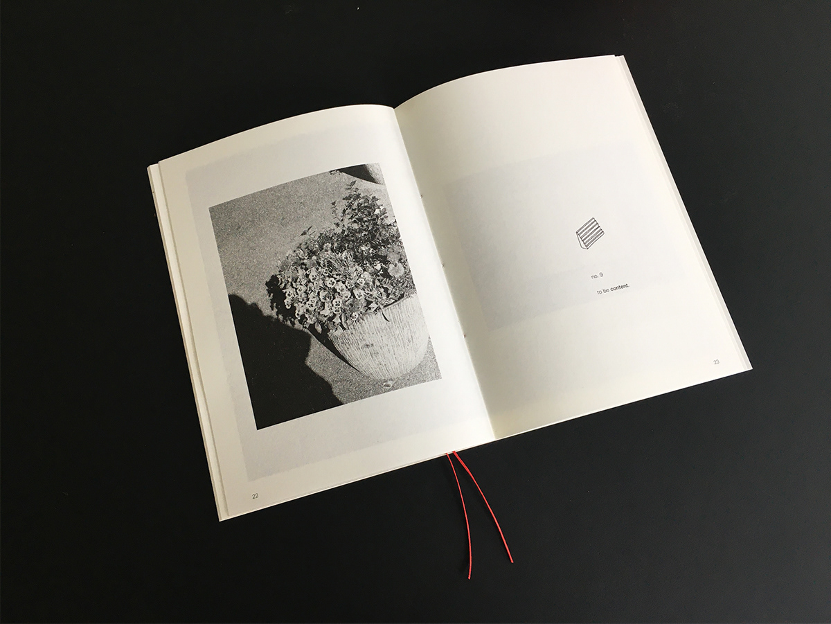 book design film photography Layout Photography  Poetry  print publishing   risograph Selfpublishing Zine 
