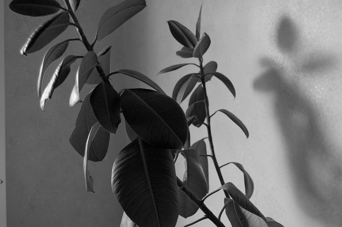 black & white interiors minimal daily life home