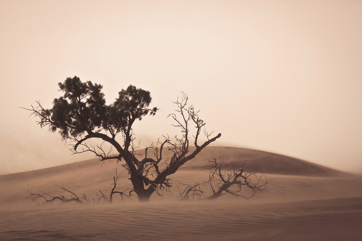 Morocco desert dunes sand landscape photography David Mascha