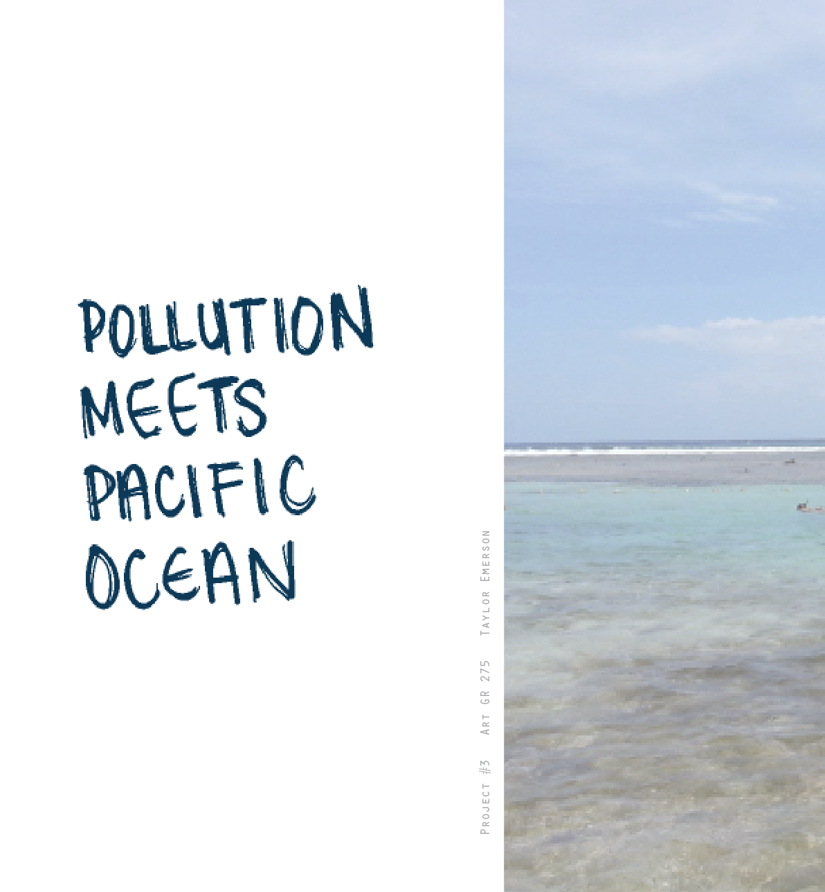 ocean pollution books chapbook animals crisis
