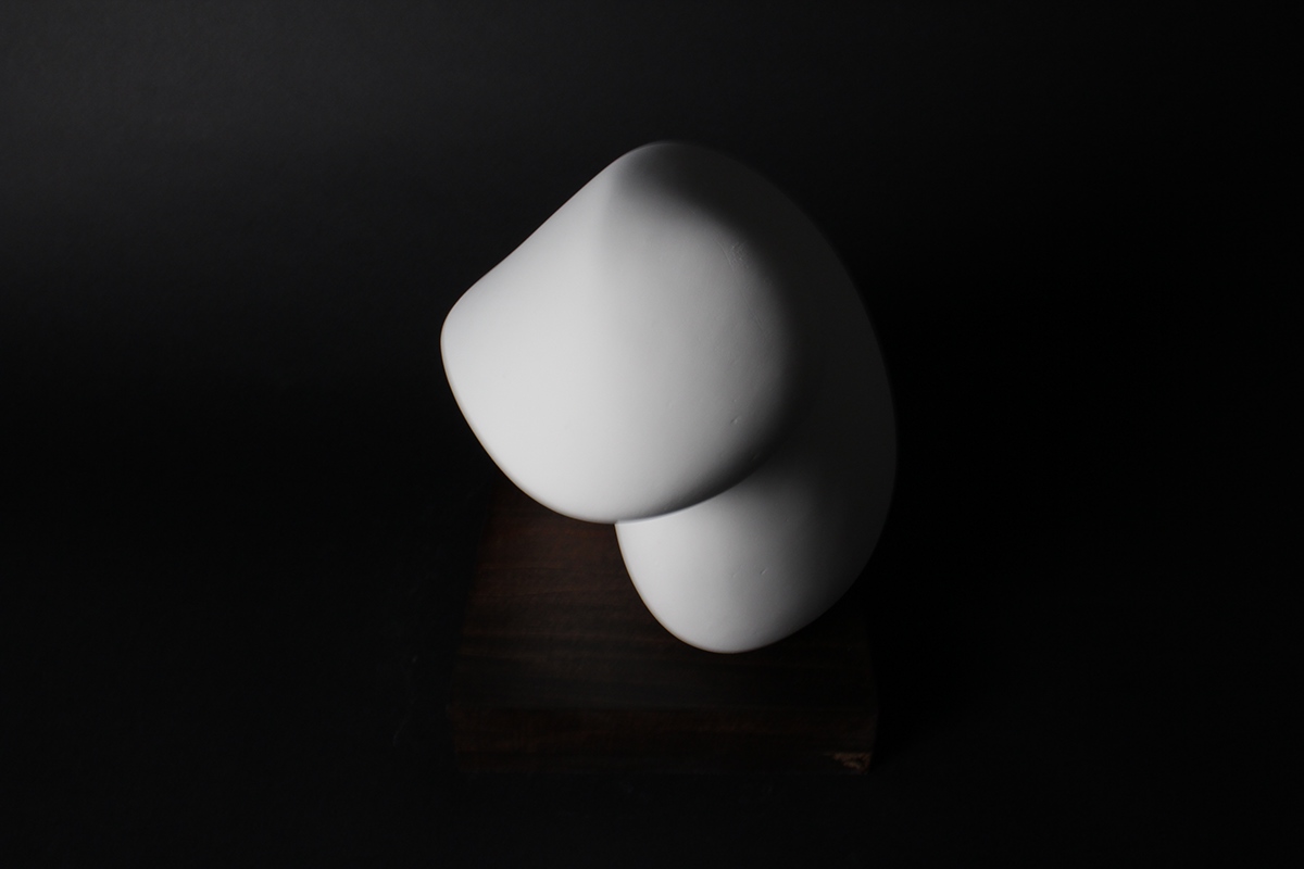 Convexity Form 3D plaster studies