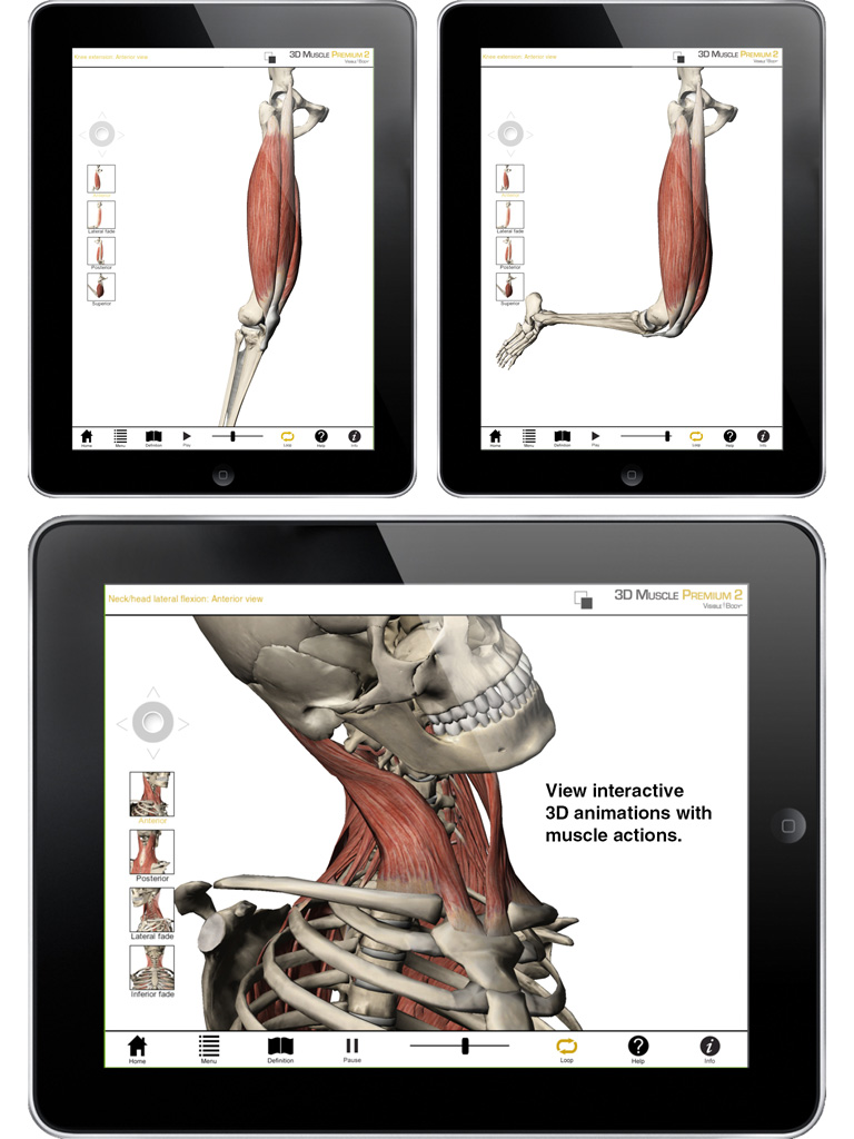 unity3D Visible Body ios Objective-C iPad