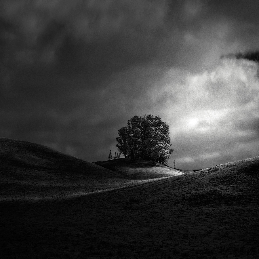 infrared IR trees landscapes lone solitary Nature hills light black and white monochrome oak clouds