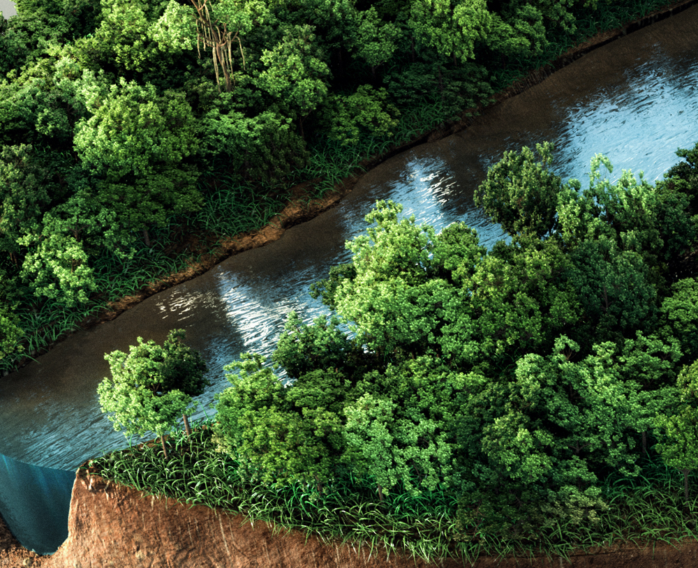 Adobe Portfolio Coffee Deforestation featherwax CGI 3D bean rainforest Amazon