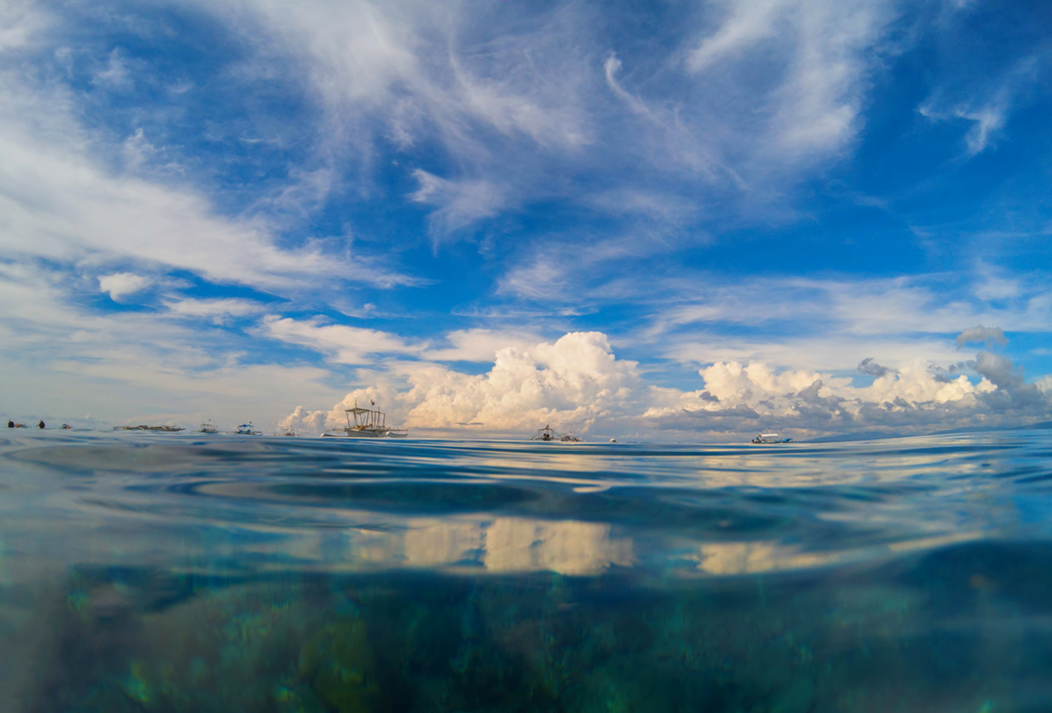 UNDERWATER PHOTOGRAPHY sea marine Landscape split photo double landscape