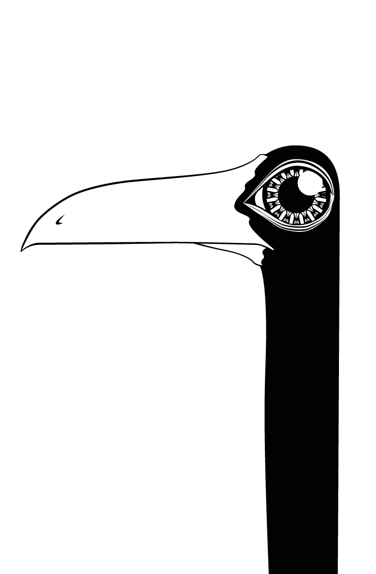 weird bird dark strange matt patter black White vector minimal Character