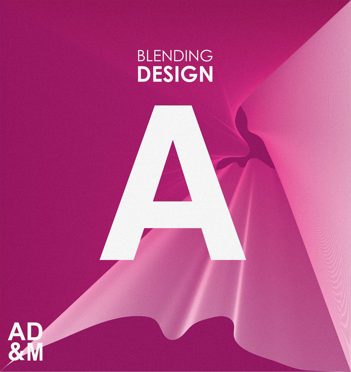 type ILLUSTRATION  alphabet graphic design  poster branding  Logotype identical