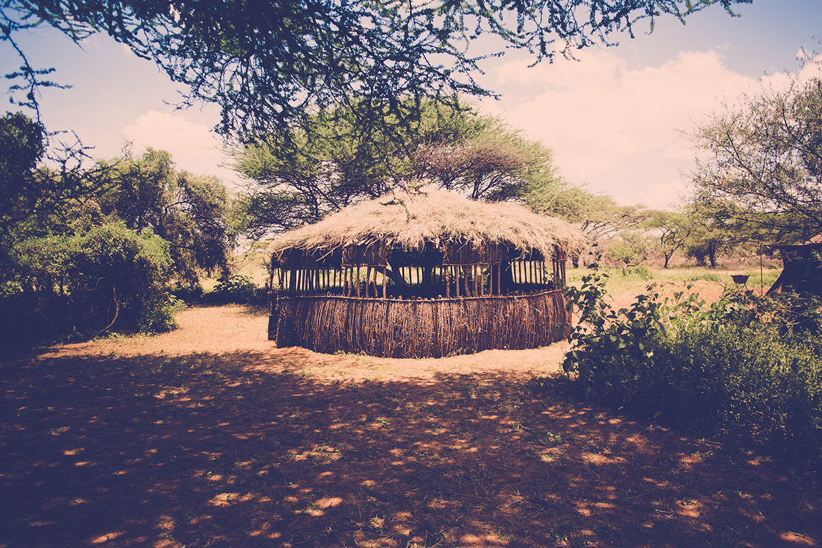 Tanzania Maasai africa social landscapes beauty