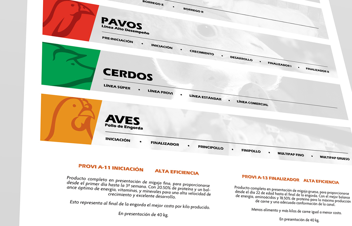 nutrition mérida yucatán mexico Web Design  Website landing page user interface animals Socialmedia